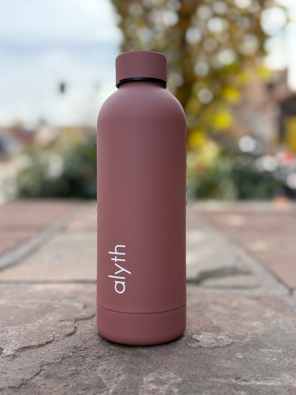 alyth water bottle 16oz Clay Rose